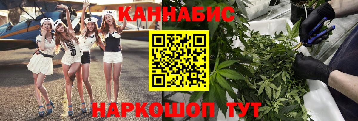 Конопля гибрид Юрга